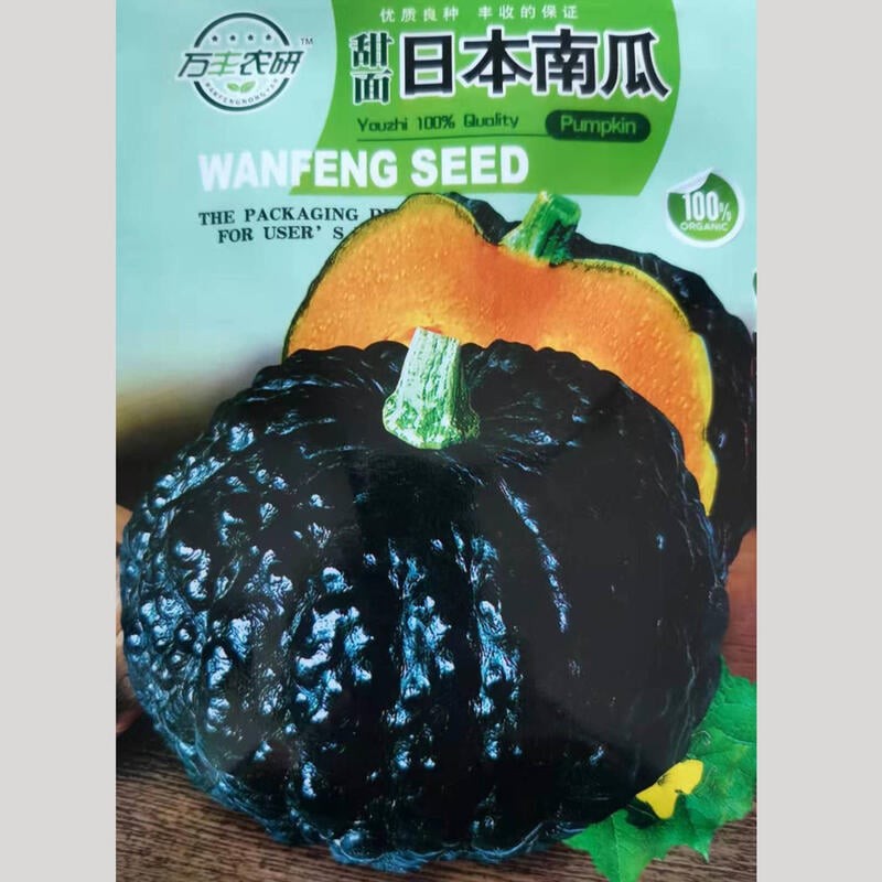 種子 南瓜種子粉糯香甜板栗南瓜種子糯甜貴族南瓜種子春季蔬菜種籽/種籽蔬菜