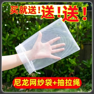 精品推薦【1634人好評】草莓果實套袋藍莓無花果紗袋透水透氣防蟲防鳥種子收集獼猴桃網袋