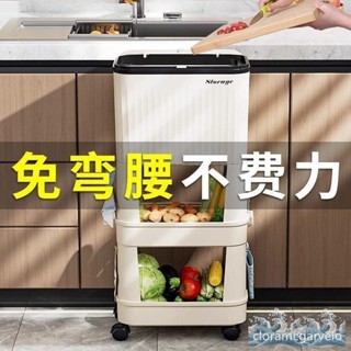 廚房垃圾桶家用大容量帶蓋移動雙層收納彎腰專用日式多層置物架