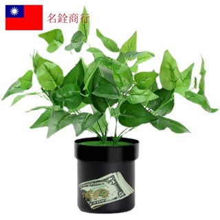 【下單前要先聊聊／藏私房錢】花盆存錢罐創意帶鎖鐵盒保險密碼儲物箱子迷你儲錢收納盒藏錢神器【名銓商行】 OZ3S
