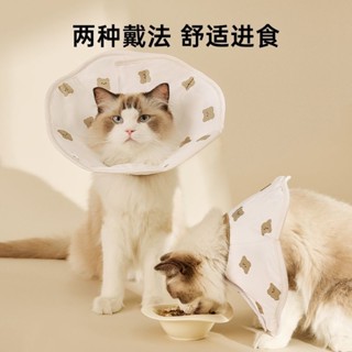 【💝桃園出貨🔥】伊麗莎白圈寵物加寬貓咪項圈脖套防舔防咬防脫護頸貓專用寵物用品【💯汪喵嚴選💖】