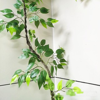 ❤萌寵集模擬榕樹葉 模擬樹藤條 藤蔓 壁掛藤條 假樹藤條 吊頂裝飾 管道裝飾花藤 老藤蔓大型植物