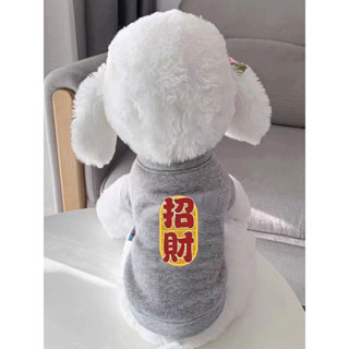 🐱貓咪衣服貴賓雪納瑞比熊約克夏衣服【90%好評率】新款狗狗衣服貓咪衣服春秋冬季泰迪博美比熊小型犬貓小狗寵物衣服