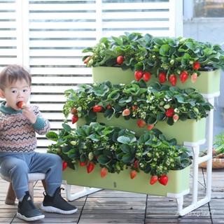 免運 陽臺種菜盆多層架子室外立體蔬菜種植專用箱神器家庭室內草莓花盆種植箱 陽臺種菜盆 菜盆 陽臺花盆 養殖箱