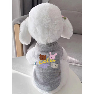 🐱貓咪衣服貴賓雪納瑞比熊約克夏衣服【2427人好評】新款狗狗衣服貓咪衣服春秋冬季泰迪博美比熊小型犬貓小狗寵物衣服