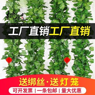 『臺灣 好物精選』模擬葡萄葉假花藤條藤蔓植物樹葉綠葉水管道吊頂裝飾塑膠綠蘿葉子