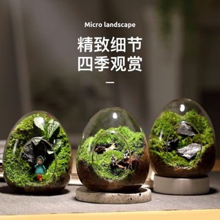 微景觀生態瓶✨成品盆景苔蘚微景觀盆栽生態瓶奇趣創意種好植物小盆景辦公室桌面好養綠植 綠植 玻璃缸