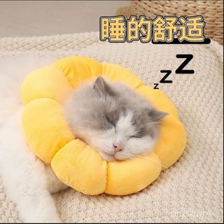 🎄潮流新款🎄伊麗莎白圈太陽花貓項圈防舔除跳蚤貓咪脖圈頸圈頭套狗寵物用品 伊莉莎白圈 防舔頭套 貓頸圈 貓咪防舔 貓 防舔