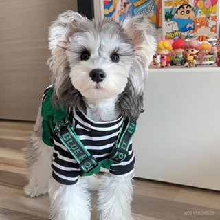 🔆可愛防掉毛🔆[多尺寸選]狗狗衣服四季通穿工裝馬甲背心寵物牽引雪納瑞比熊柴犬西高地