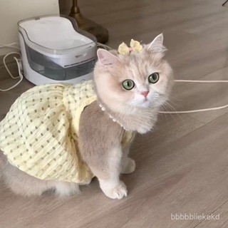 【💙臺灣 熱銷 免運💙】貓咪衣服小貓裙子春夏防掉毛寵物連衣裙金漸層德文布偶薄款可愛狗 寵物衣服