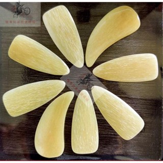 j駱駝骨 古箏指甲 凹槽 (盒裝8片裝）演奏古箏指甲 專業型指甲 古箏義甲 古箏指甲 練功古箏指甲 厚古箏指甲 左右手指