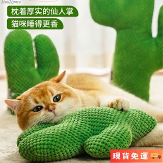 🌹臺灣限時低價🌹仙人掌逗貓玩具貓咪用品自嗨貓薄荷玩具解悶耐咬磨牙寵物玩具