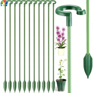 【1件出貨】20 件裝家庭花園植物支撐樁盆景棒蘭花玫瑰花單莖灌木架盆栽桿支架固定工具批發