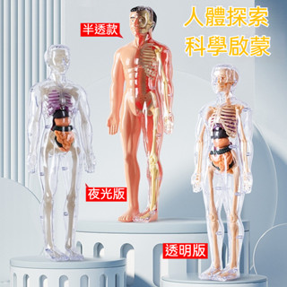 ✈新北發貨✨人體器官玩具人體骨架模型模擬拚裝軀幹結構內臟科敎類玩具 人體器官模型人體拼裝模型 人體器官模型 人體模擬模型