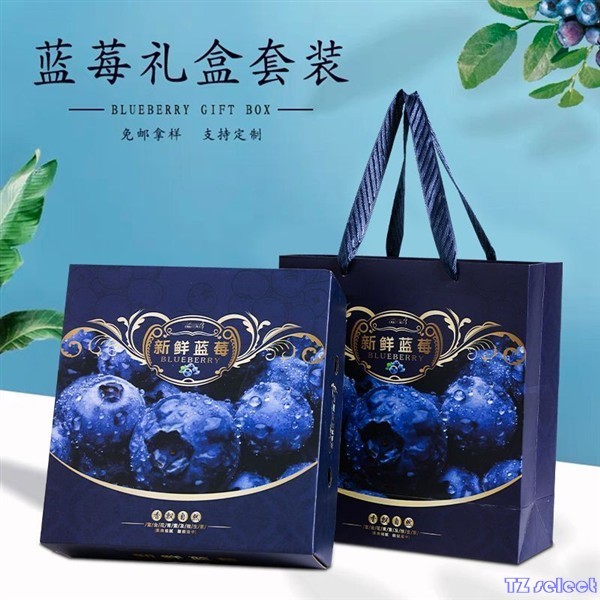 臺南熱賣【高端禮盒】藍莓包裝盒 禮品盒 空盒子 云南高山兔眼藍莓 手提精品高檔禮盒10入 25入