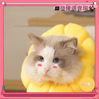 【臺灣出貨】-可開發票+發票下項圈寵物貓項圈狗項圈消毒防舔防刮頭套yxh