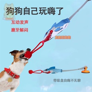 毛孩拉扯玩具 寵物拔河 狗狗玩具球 耐咬磨牙發聲玩具 寵物互動 大型犬解悶神器 毛孩子拔河玩具 帶吸盤