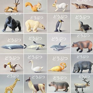 實心模擬動物模型套裝玩具動物園 大象老虎獅子王長頸鹿野生