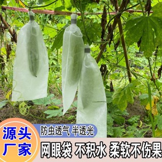 無花果套袋 多尺寸紗網袋 水果套袋 防蟲網袋 百香果套袋 果蔬防蟲網袋無紡布苦瓜絲瓜裝羊角蜜防針蜂防蠅透氣保護專用套袋