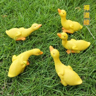 禪道緣 創意小鴨子擺件可愛樹脂模擬動物微景觀假山花盆植物盆栽田園裝飾