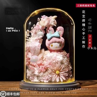 🔥臺灣出貨 三麗鷗兔兔植絨盲盒手辦庫洛米永生花玻璃罩公仔展示盒擺件送禮物 亞克力 展示盒 收納盒