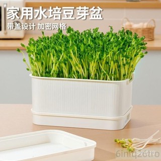 豆芽盆傢用黃綠豆豆芽神器豆芽發芽盆水培髮芽盆水耕栽培水耕種植居傢種菜懶人專用