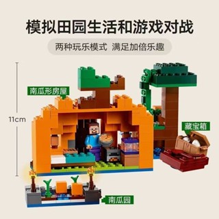 國產 新品 我的世界 新品 相容樂高 我的世界積木南農場沼澤青蛙益智拼裝玩具兒童男孩