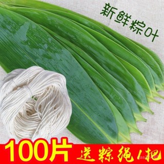 ✨桃園出貨/免運✨【30天熱銷3801件】粽子葉大葉包粽子粽葉真空包裝特大號棕葉子新鮮粽葉天然野生家用 NOMR
