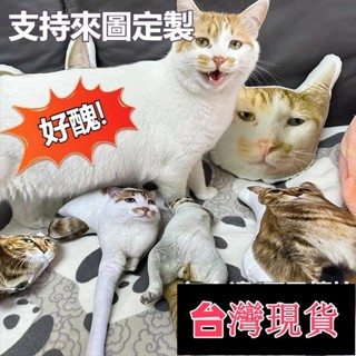 臺灣出貨+免運客製化抱枕 客製寵物抱枕 貓咪抱枕 貓咪玩偶 小狗抱枕 異形抱枕 巨醜玩偶抱枕 惡搞抱枕 惡搞玩偶 來圖定