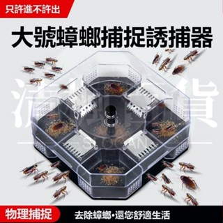 清楓百貨蟑螂捕捉器 蟑螂誘捕器 防治蟑螂 蟑螂捕抓器 捕蟑器 蟑螂屋 蟑螂剋星 蟑螂藥 蟑螂盒 滅蟑 殺蟑