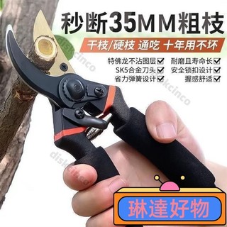 ❤新店下殺❤🔥SK5 樹枝剪 園藝剪 花剪 園藝剪刀 修枝剪 高枝剪 粗枝剪刀 修花剪刀 果樹剪 園藝工具 花藝剪