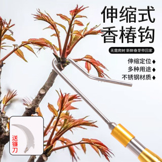 【臺灣出貨】【1.7萬人收藏】摘香椿鈎子伸縮桿多功能槐花鈎不銹鋼抄網桿釣割草神器榆錢鈎子