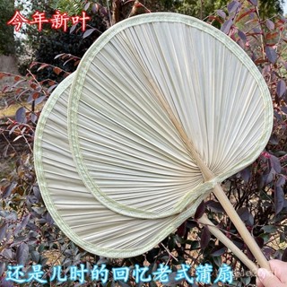 🔥臺灣出貨🔥【30天熱銷1654件】扇子批髮夏天手搖大蒲扇寶寶芭蕉扇手工老式家用蒲扇兒童小號燒烤