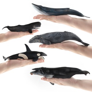 【日韓熱銷】出口模擬新款實心大號海洋生物動物模型擺件 大白鯊虎鯨虎鯊藍鯨抹香鯨鯨鯊白鯨 鯨魚鯊魚玩具 寶寶兒童認知禮熱銷