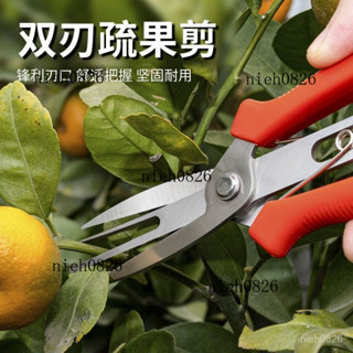 🎒臺灣優質🎒農用疏花剪刀疏果雙口剪不銹鋼煅打蘋果樹梨樹果農幫手稀花神器so7