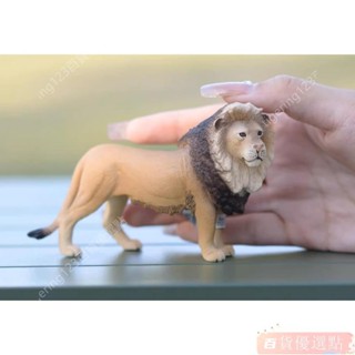 動物模型 史萊奇 Schleich 14812 雄獅 公獅子 獅 (最新款式)
