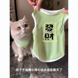 臺灣出貨⚡【店鋪熱銷】貓咪狗狗衣服春夏季寵物貓銀漸層藍貓防掉毛透氣可愛清涼冰絲背心