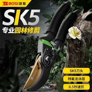 新店限時低價🔥🔥波斯剪枝剪刀剪樹枝專用剪子強力花藝果樹修剪家用花木園林粗枝剪