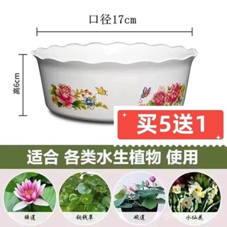 【桃園出貨】無孔水培塑膠水僊花盆銅錢草碗蓮荷花睡蓮水養植物專用小花盆防漏