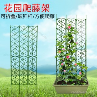 臺灣熱銷✨免運✨庭院園藝花支架爬藤架破圖花螢幕屏風花架可造型花架 KOLV