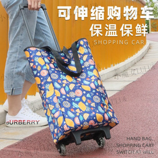 優選生活館✨買菜購物車 菜籃車 買菜車 購物車 家用環保推車 折疊 小拉車 折疊手拉車 行李車 超市 家用 便攜方便 E