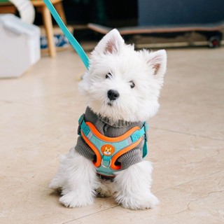[CMC］寵物胸背帶 寵物背帶 狗狗背帶 狗狗牽引繩小型犬反光背心式泰迪比熊博美胸背帶小狗遛狗繩狗鏈子