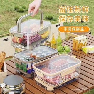 🛒熱銷爆款🔥手提雙層保鮮盒戶外露營野餐盒零食水果收納盒便攜移動冰箱水果盒保鮮盒 蛋糕盒 餅乾盒 密封盒 便當盒