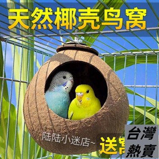 ♡臺灣熱賣♡椰子殻鳥窩虎皮牡丹玄風文鳥鸚鵡鳥巢寵物保暖草編窩小鳥玩具用品197