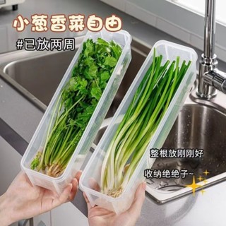 ✨臺灣出貨🔥限時特價🔥香菜小蔥收納盒冰箱芫荽整根保鮮神器加厚款麵條鷄蛋備菜保鮮密封