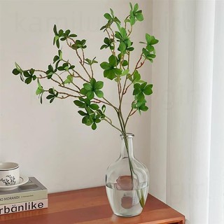 質量超好 假植物 假樹枝馬醉木 客廳水養插花馬醉木高級感裝飾編織盒 收納盒 實木置物架 藤編收納筐
