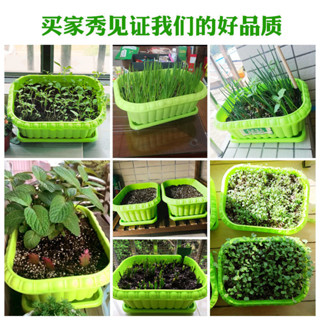 ✨桃園發貨✨【4.2萬人好評】家庭陽臺種菜專用盆套裝蔬菜種植箱加厚塑膠長方形花盆種菜盆清倉
