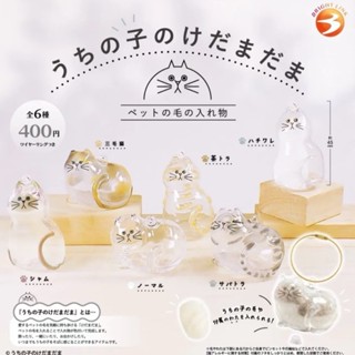 臺灣熱賣🔥【全網最低價】貓咪扭蛋 狗狗紀念掛件 透明貓毛收納盒 貓咪吊飾扭蛋 貓咪毛髮存放膠囊 貓咪掛件