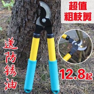 ✨限時優惠✨ 【4770人好評】果樹修剪樹枝剪刀德國 園林園藝剪刀修枝剪 樹剪子粗枝剪大力剪 CGHR