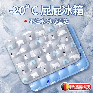 🛁避暑好物德國夏季冰墊坐墊學生汽車辦公室屁墊降溫水床墊凝膠清涼枕墊夏天冰涼墊 乳膠涼蓆 驅蚊床墊